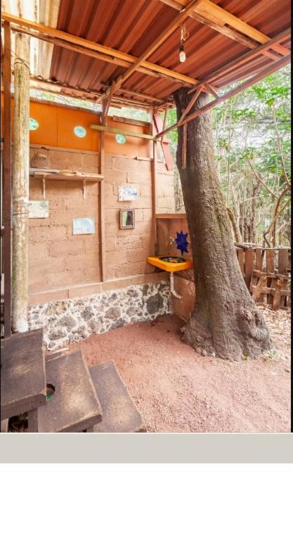 Casa Ecologica Apartment เตโปซตลัน ภายนอก รูปภาพ