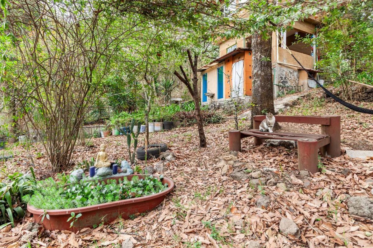 Casa Ecologica Apartment เตโปซตลัน ภายนอก รูปภาพ